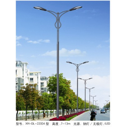 6米led路灯 道路灯、中坤照明(在线咨询)、道路灯