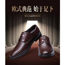 啄木鸟男鞋,乐淘网(在线咨询),青海男鞋