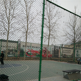 篮球场围网加工-东川丝网-安庆篮球场围网