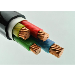 聚氯乙稀绝缘电力电缆,天津电力电缆,三阳线缆