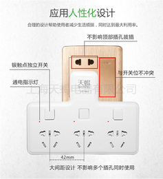 移动插座-天蝎插座(在线咨询)-插座