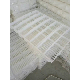 塑料漏粪板报价|徐州塑料漏粪板|和协饲料机械(查看)