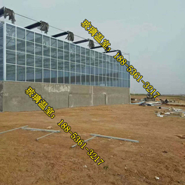 玻璃温室种蔬菜产量高_建玻璃温室的厂家_泸州玻璃温室
