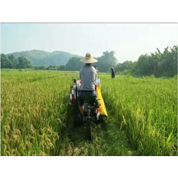履带式小型水稻收割机,来宾水稻收割机,南宁中热农业设备