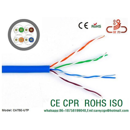 超五类非屏蔽 铜丝导体100MHZ网络线缩略图