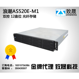 莱芜浪潮服务器nf5270m3价格,致晟科技(图)