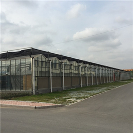 玻璃温室-成都玻璃温室建设-达县玻璃温室现货供应