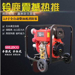 移动式柴油机动消防泵