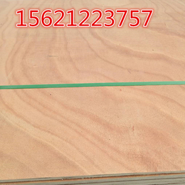 包装箱板展台板木质包装板杨木全整芯硬度高星冠木业