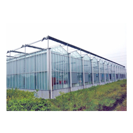 西藏玻璃温室-青州瑞青农林科技-玻璃温室建设