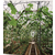 寿光市泰宇机械(图)-农业无土栽培种植槽-大兴安岭种植槽缩略图1