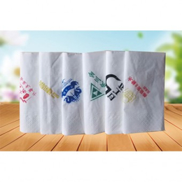 餐巾纸厂-保定餐巾纸-双*生用品全国发货(查看)