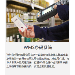 聊城WMS条形码系统 WMS仓储管理系统 中科华智