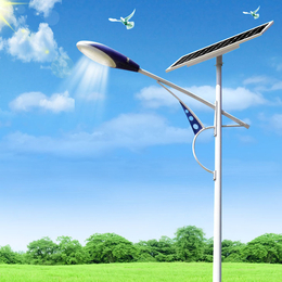 唐山6米60W太阳能路灯厂家 太阳能路灯配件安装与维修缩略图