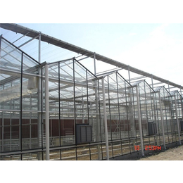 玻璃温室-青州瀚洋农业(在线咨询)-玻璃温室建造