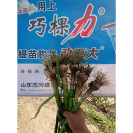 广西颗粒水溶肥|颗粒水溶肥供应商|志同道合肥业(推荐商家)