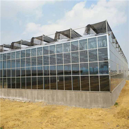 金盟温室、玻璃温室大棚、观光玻璃温室大棚