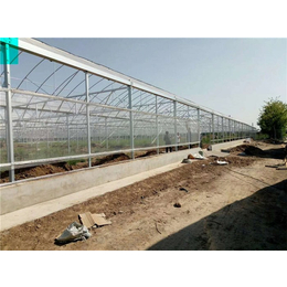 丹东温室-贵贵温室-鸡场温室设计与建造