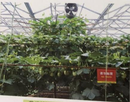 番茄无土栽培种植槽厂家-琼海种植槽-寿光市泰宇农业机械