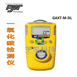加拿大BW GAXT-M-DL*单一气体检测仪