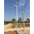 井陉新农村建设6米60W LED太阳能路灯厂家 路灯维修配件缩略图1