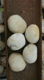 鹅卵石价格-萍乡鹅卵石-*石材