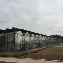 南充玻璃温室厂家-攀枝花玻璃温室工程(在线咨询)-玻璃温室