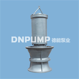天津德能泵业(图)_潜水轴流泵安装指导_天津潜水轴流泵