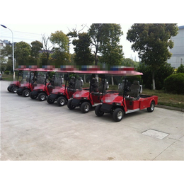 南京微型消防车|无锡德士隆电动车|微型消防车厂家