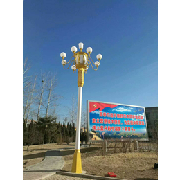 井陉美丽乡村亮化6米太阳能路灯厂家 路灯安装与维修