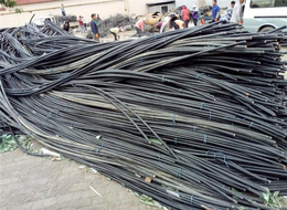 废电缆回收-东营电缆回收-利新电缆回收(查看)