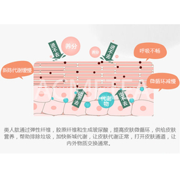 线雕,类人肽,线雕有后遗症吗