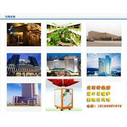 低氮采暖*锅炉|美斯特热源采暖炉|*锅炉