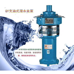 潜水排污泵价格|蓝升泵业(在线咨询)|临沂排污泵