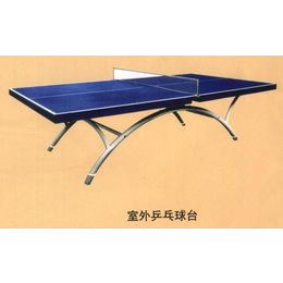 折叠式乒乓球台制造,益泰体育(在线咨询),黔南乒乓球台