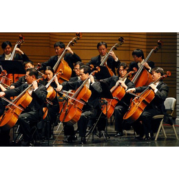 学大提琴的地方、音妙艺术传播中心(在线咨询)、南宁学大提琴