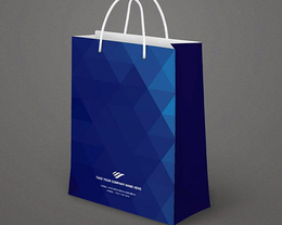 阳泉手提袋-龙山伟业包装制品厂-手提袋订制