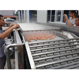 鸡蛋蒸煮线矫正蛋黄-鸡蛋蒸煮线-诸城龙翔食品机械