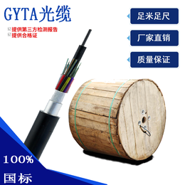 沈阳厂家48芯单模光纤GYTA-48B1 单凯装管道穿管光缆
