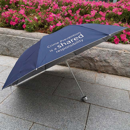广州牡丹王伞业(图)、广州哪里定制折叠雨伞、折叠雨伞
