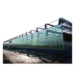 东阿玻璃温室|青州中泰温室|玻璃温室建设