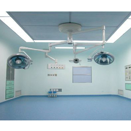 儋州净化手术室、锦源环保质量可靠、层流净化手术室厂家