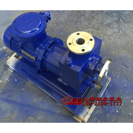 ZCQ20-12-110磁力泵、漳州磁力泵、跃泉泵业(查看)