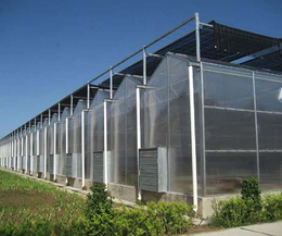 天津智能玻璃温室报价-天津智能玻璃温室-瑞众农业