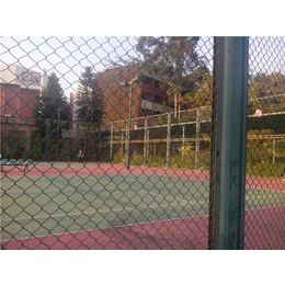 球场围网加工、七台河球场围网、河北华久(图)