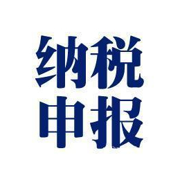 郑州中小企业记账报税财务顾问服务缩略图