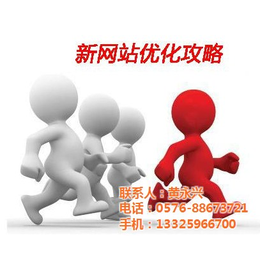 台州seo优化方案、乐环科技(在线咨询)、seo优化