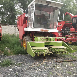 山东玉米秸秆青储收割机 巨菌草收割粉碎机 大型青贮机厂家