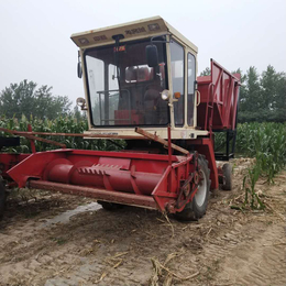 大型履带式牧草收割青贮机厂家 玉米秸秆揉草机工作视频