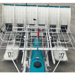 乘坐式水稻插秧机经销商-屯门区乘坐式水稻插秧机-永弘机械厂家
